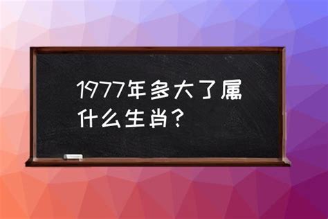 1977生肖|1977年属什么生肖 1977年属什么生肖啥命